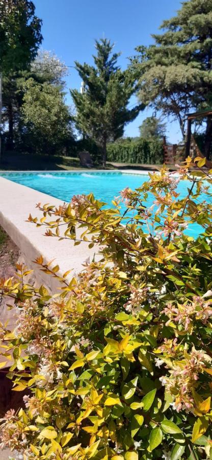 Cabanas Farah Estancia Vieja Ideal Para 2 A 3 Huespedes Villa Carlos Paz Exteriör bild