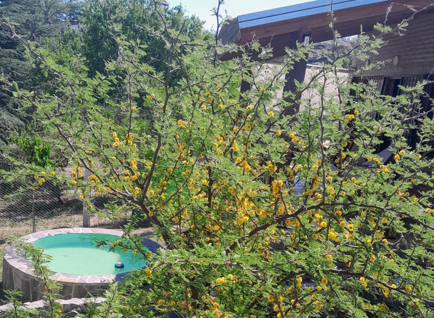 Cabanas Farah Estancia Vieja Ideal Para 2 A 3 Huespedes Villa Carlos Paz Rum bild